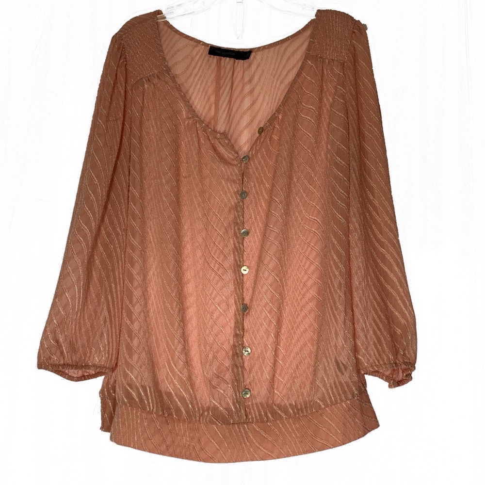 The Limited Women's Sheer Blouse Blush Button Down